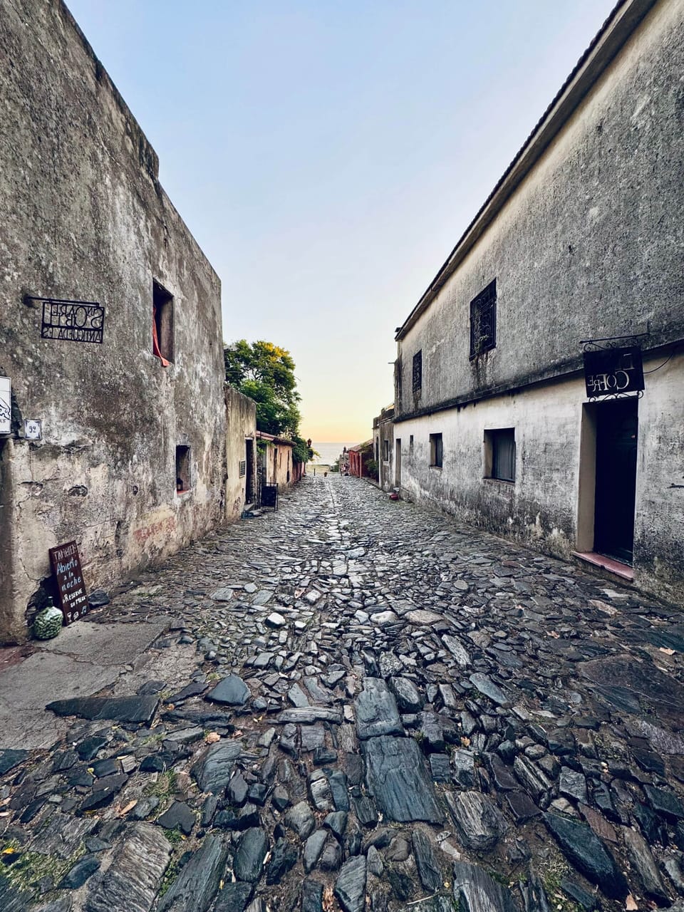 IMG 2019