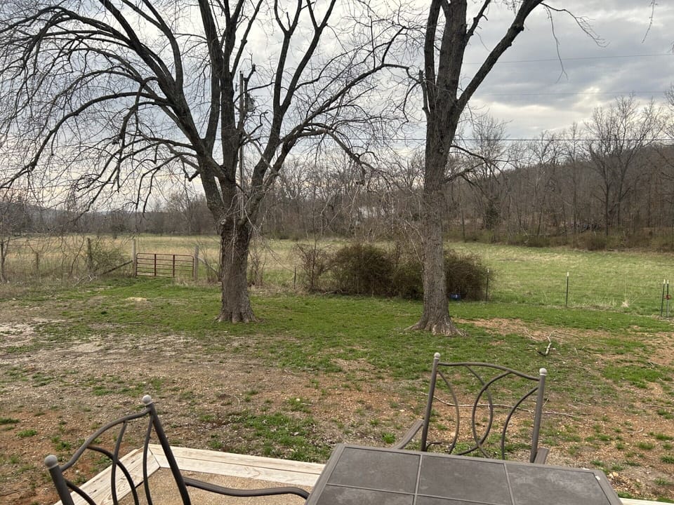 View from the back deck.