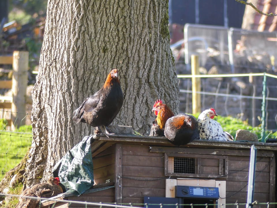 Not categorised | St. Michael&rsquo;s Lodge, Hudswell, near Richmond