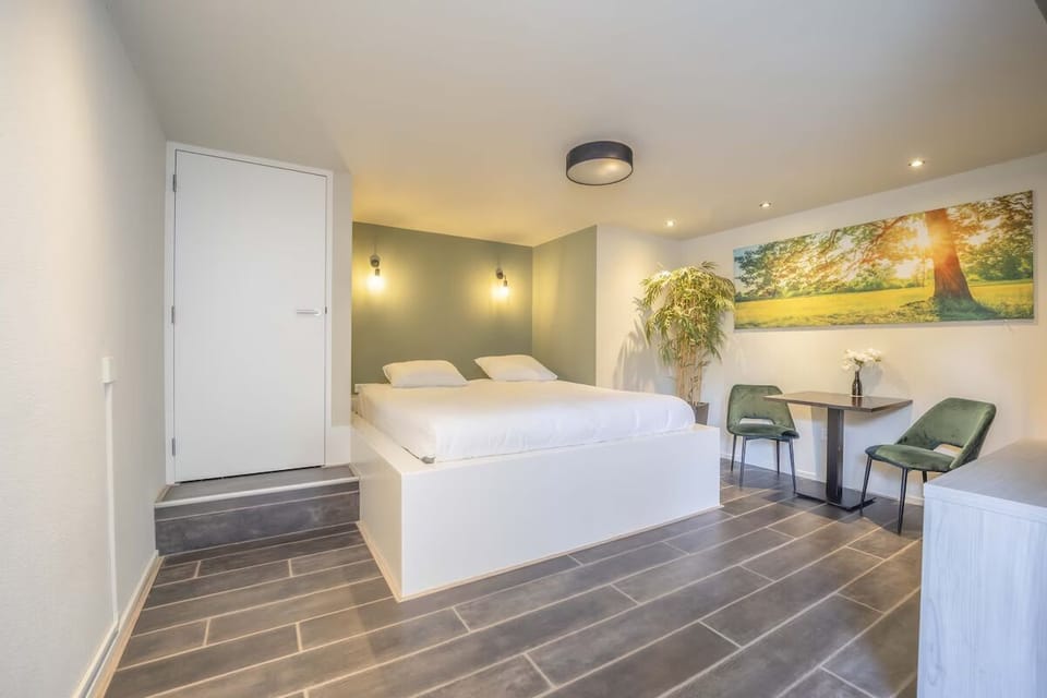 Stretch out in an airy studio-style room with soft lighting.