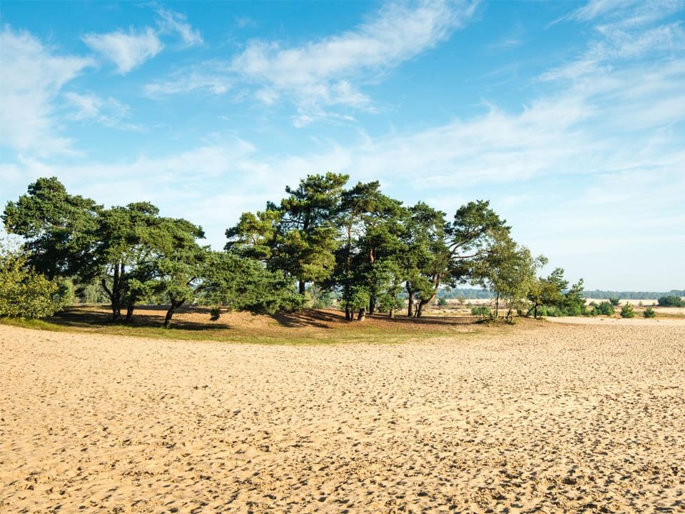 Escape to wide open dunes and breezy seaside walks nearby.