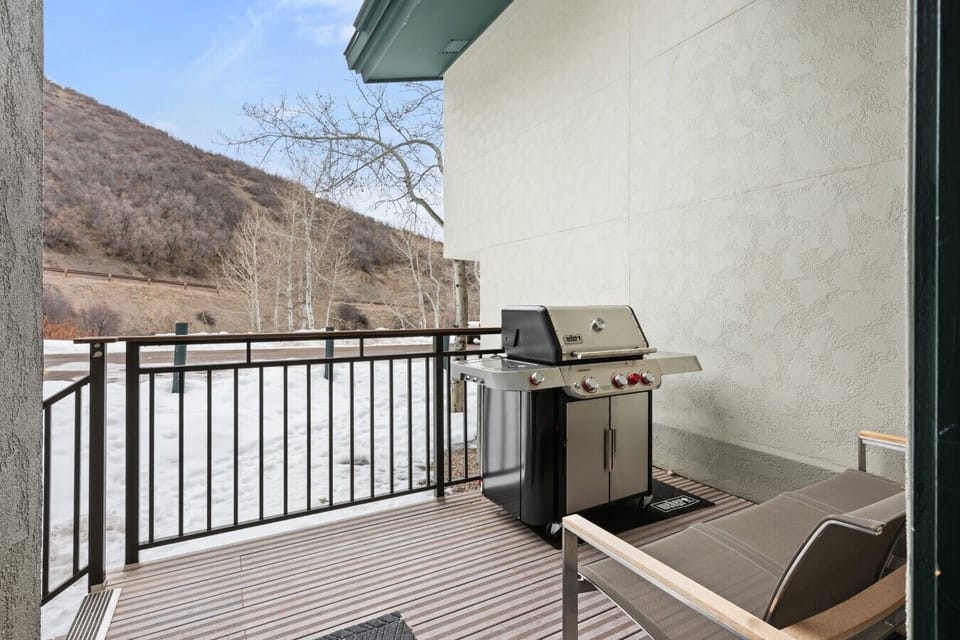 Gas Grill