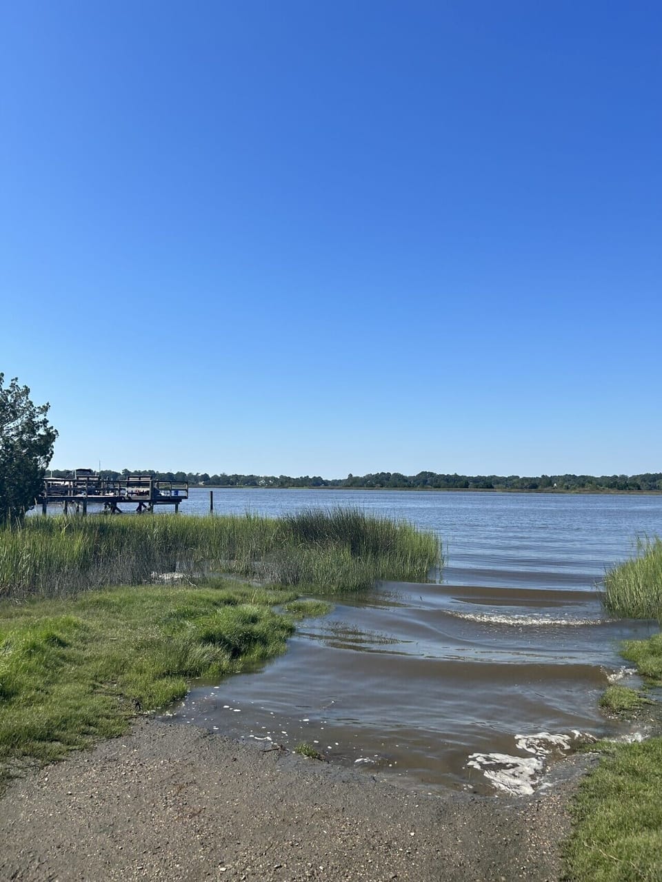 The Ashley River, just down the road in Wando Woods