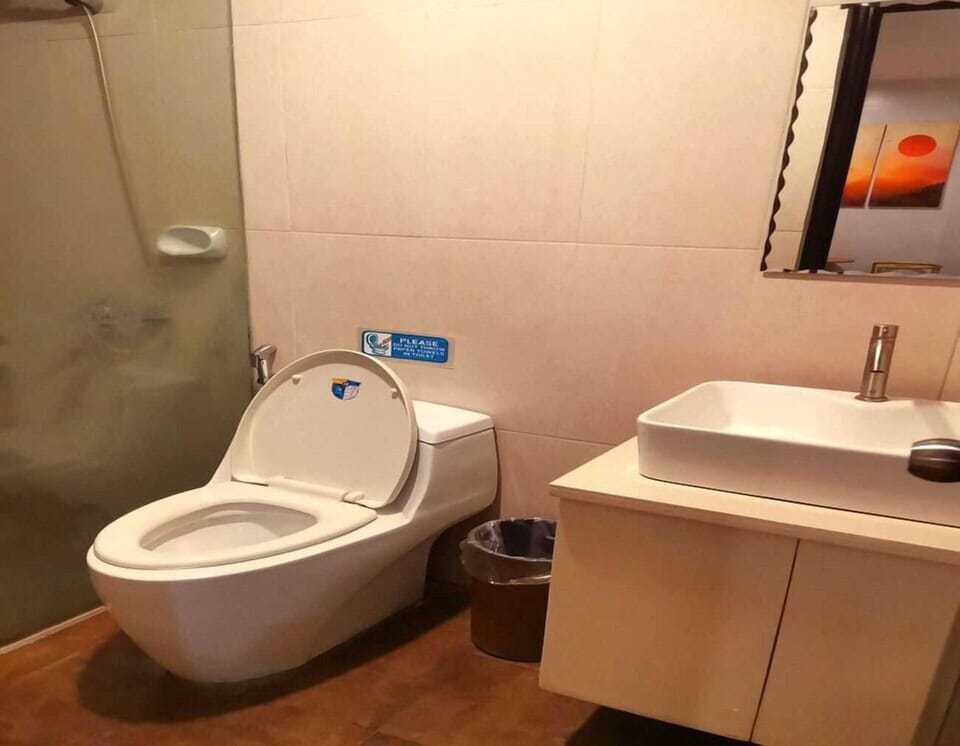 Shower, bidet, towels, soap
