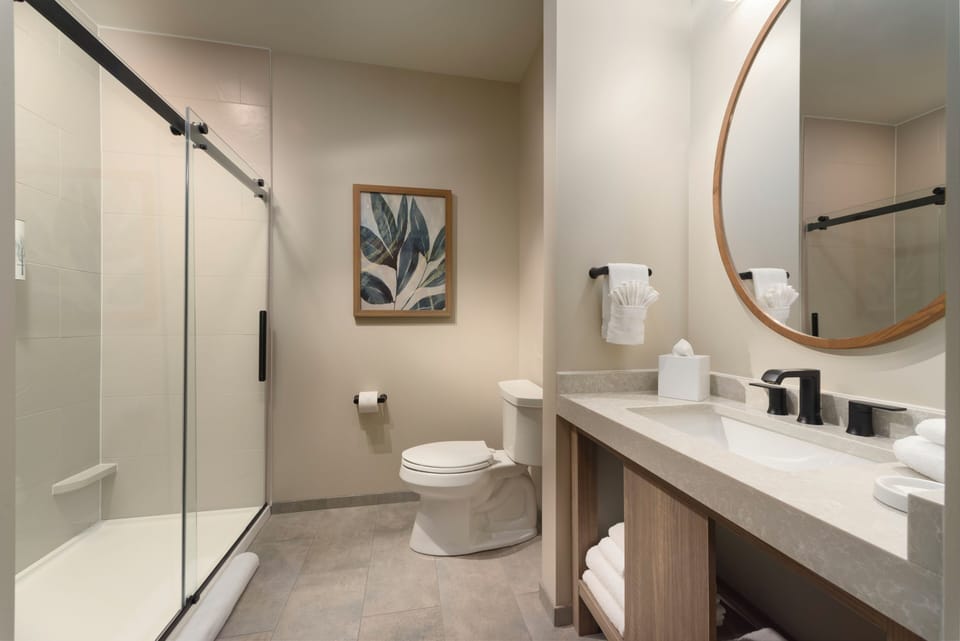 Soap, shampoo, toilet paper
