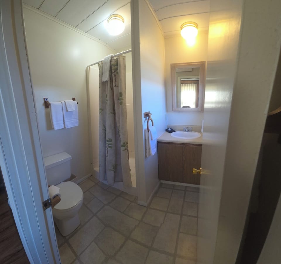 condo2015.3