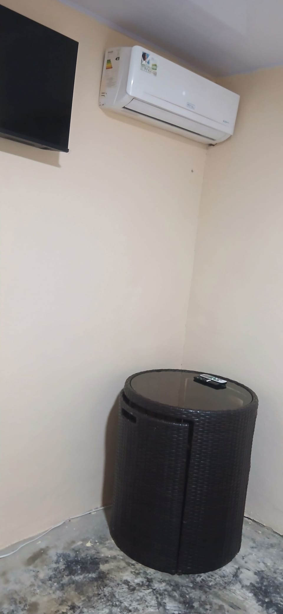 Television