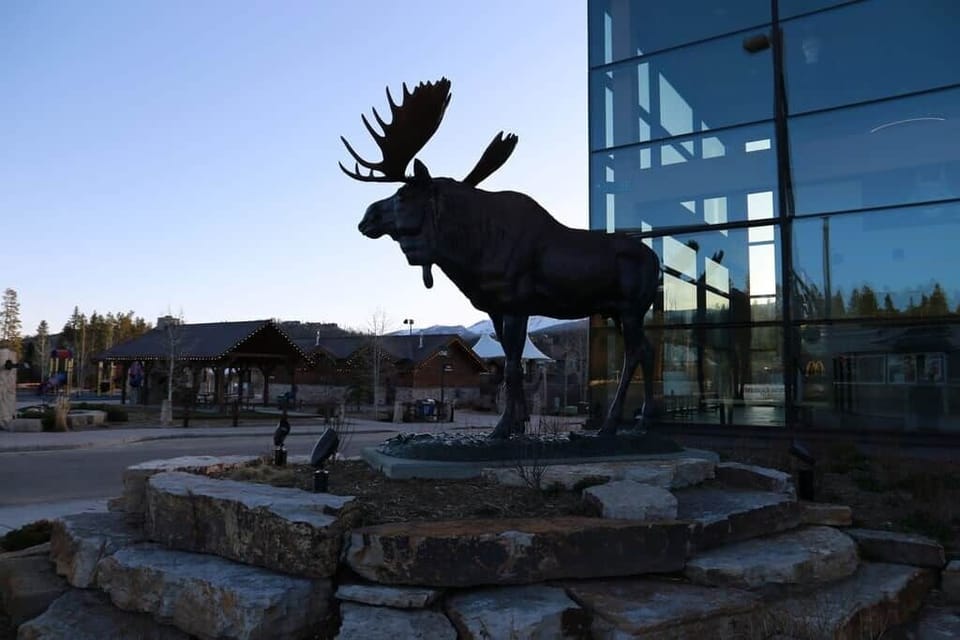Rendezvous Moose