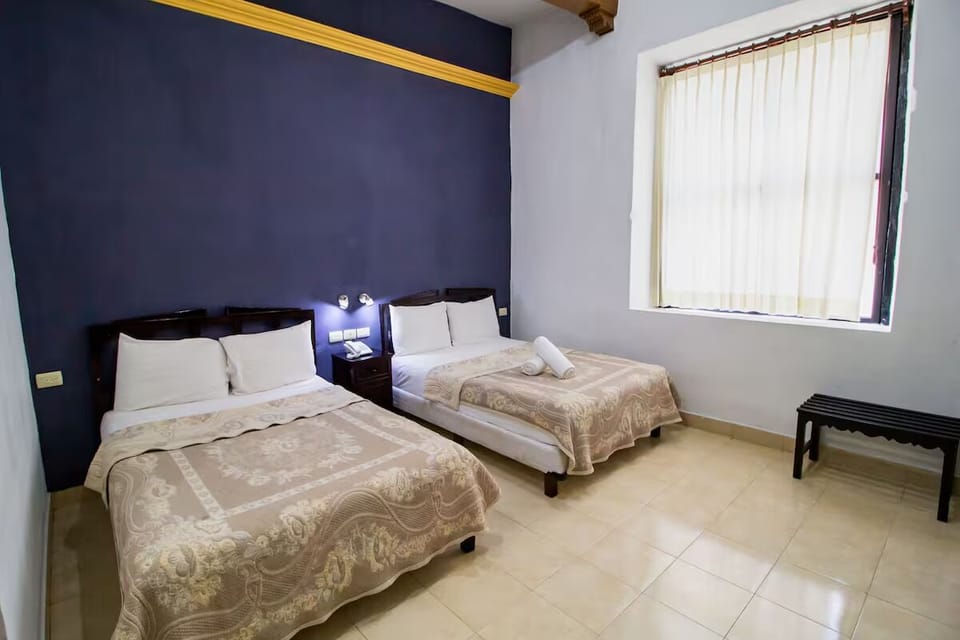 Arrive and unwind in a bright twin room made for rest.