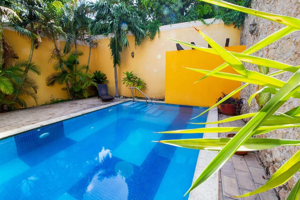 Unwind poolside with tropical greenery and refreshing afternoon shade.
