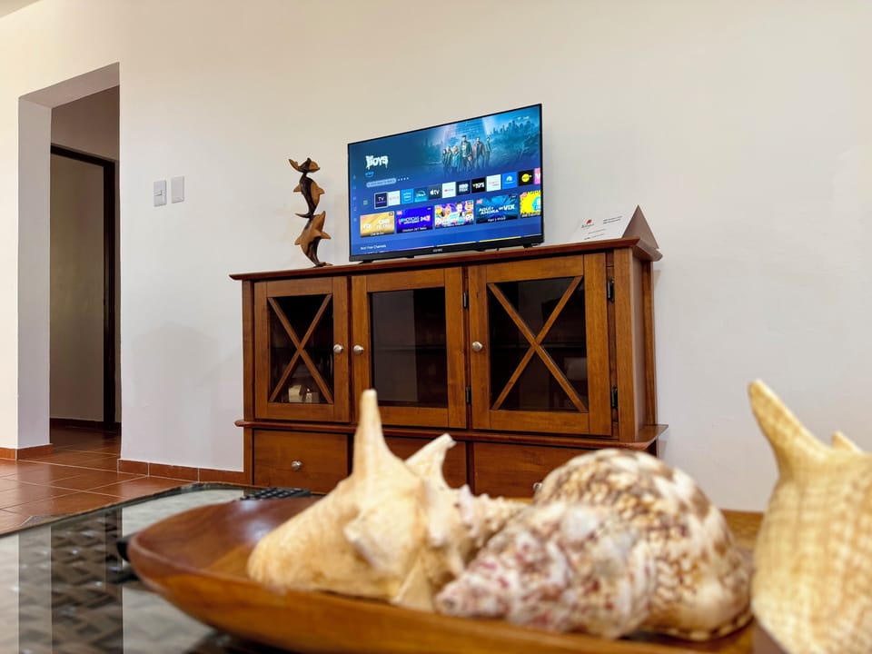Relax inside the villa with Smart Tv and caribbean style