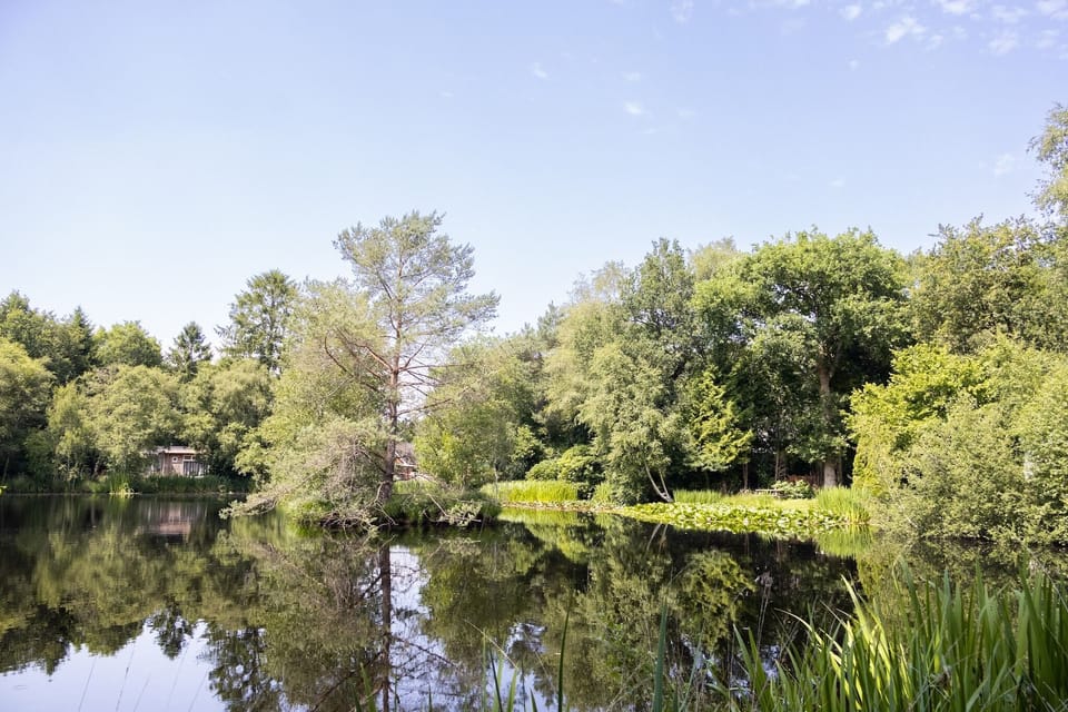 Immediate Surroundings [summer] (<1 km)