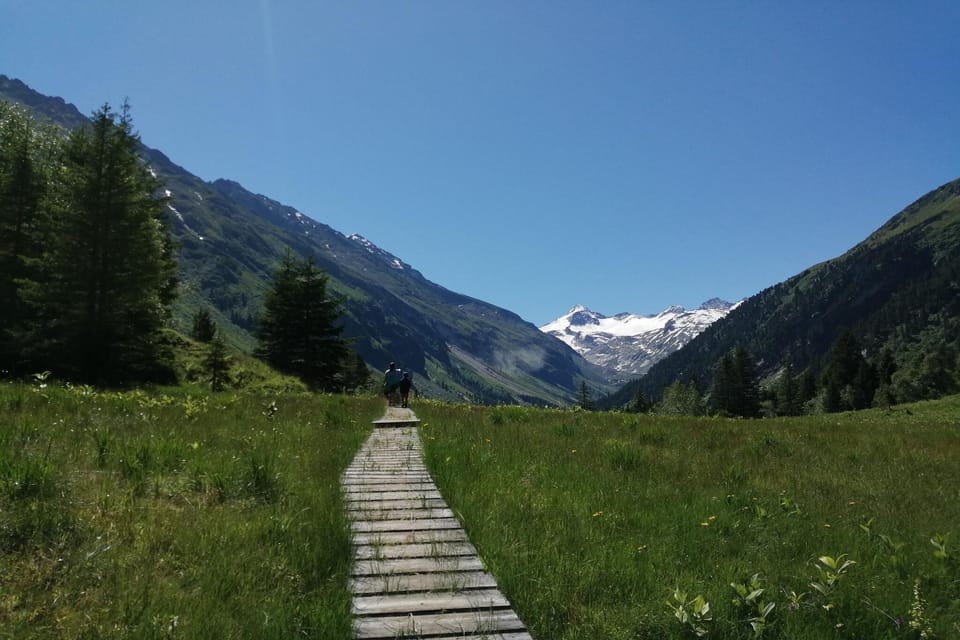 Region [summer] (>5 km)
