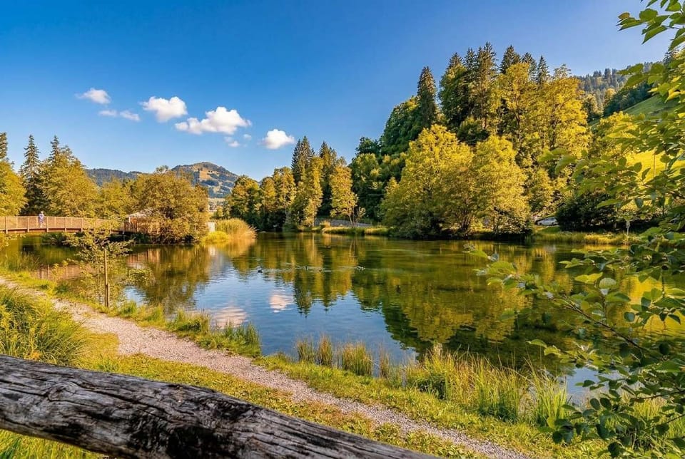 Beautiful lake with lush greenery and alpine scenery
