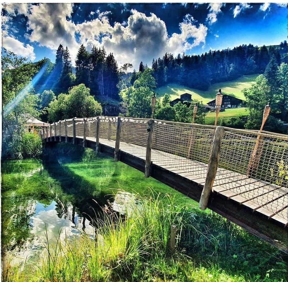 Scenic wooden bridge around the pond for peaceful walks