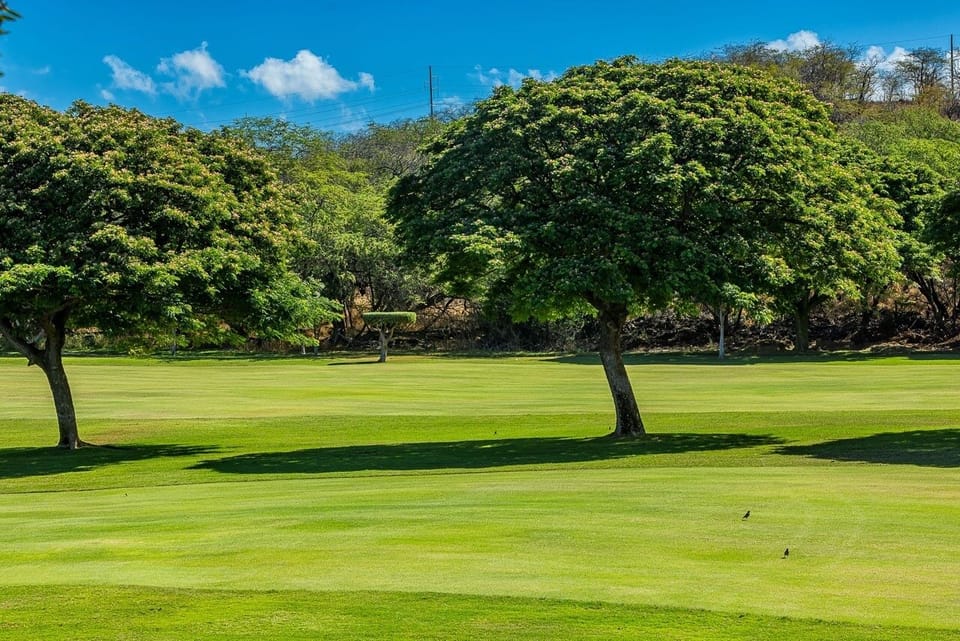 Condo, 2 Bedrooms | Golf