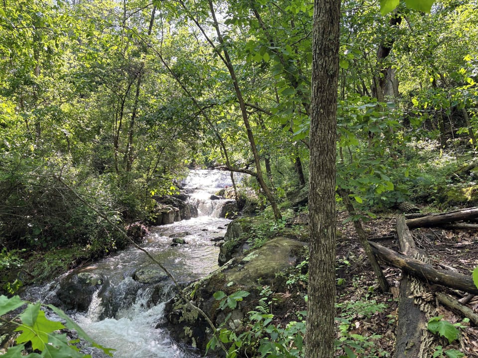 Peaceful natural setting ideal for morning strolls