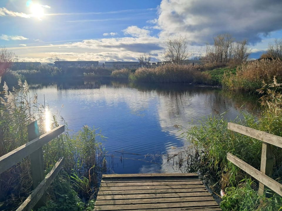 Lake (Surroundings)