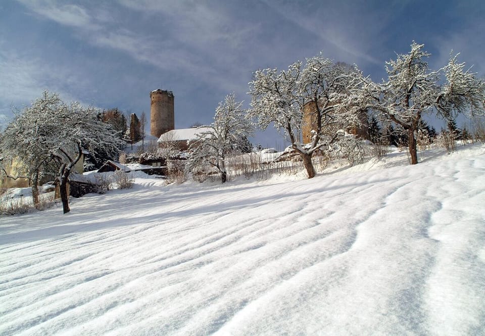 Snowshoeing