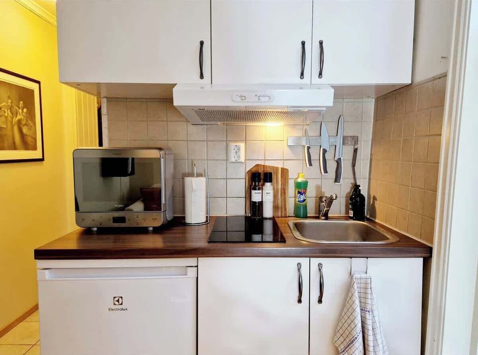 Kitchen with microwave with hot air and grill function. Coffee, tea, snacks, etc.