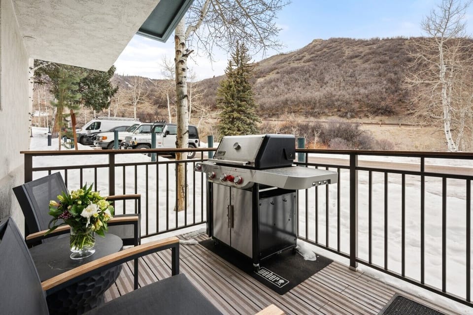 Gas Grill