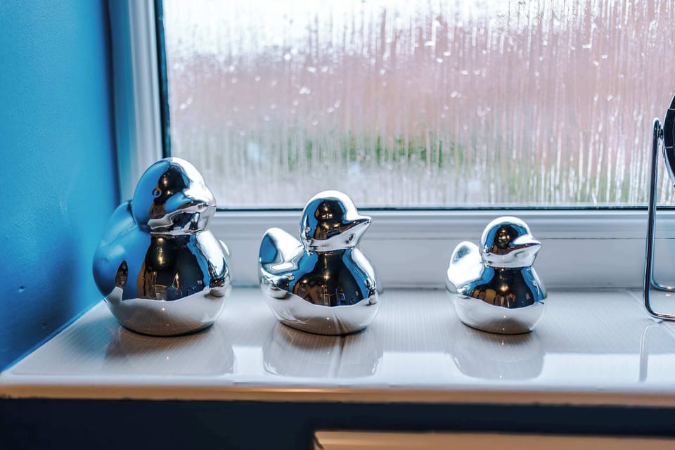 Three metallic duck figurines line the windowsill, their reflective surfaces catching the light. A rainy backdrop and blue walls create a cozy, welcoming atmosphere indoors.