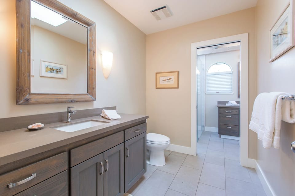 Separate toilet & sink in hall bath