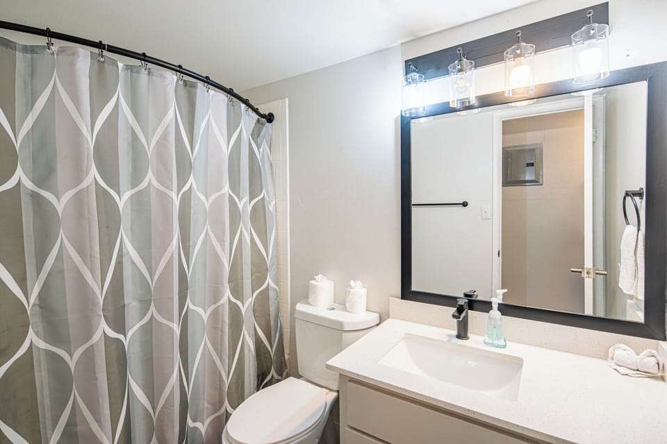 Deluxe Apartment, 2 Bedrooms, Pets Allowed | Bathroom | Combined shower/tub, free toiletries, hair dryer, towels