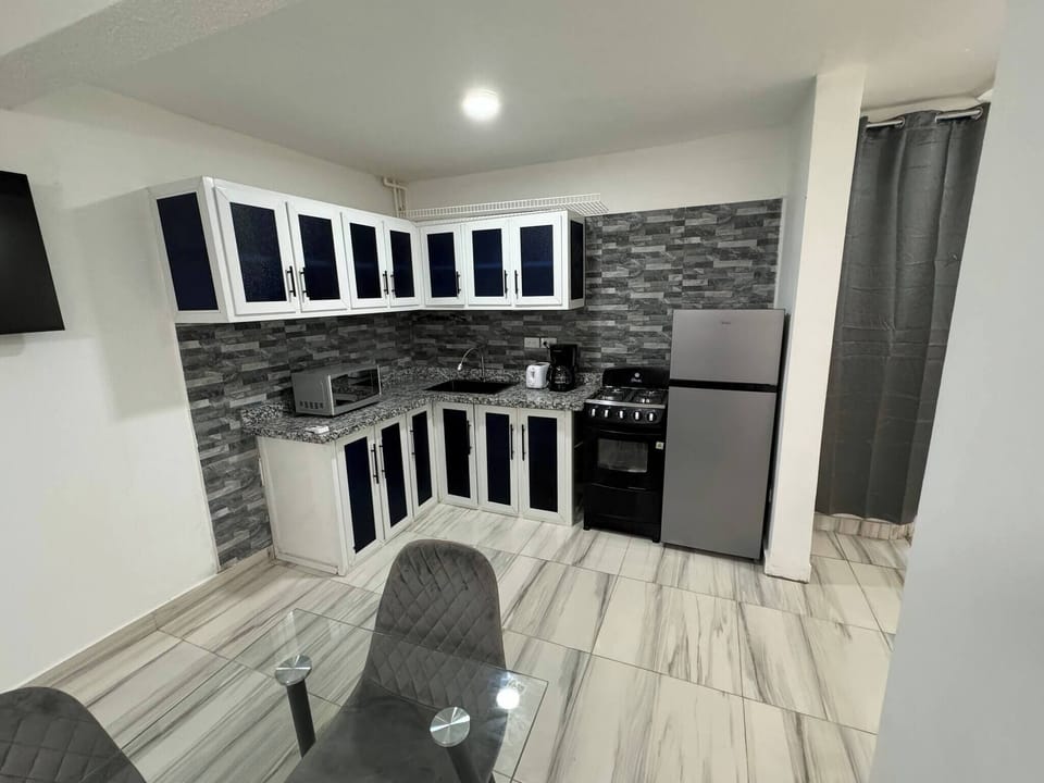 Apartment, 1 Bedroom, Accessible, Patio | Private kitchen