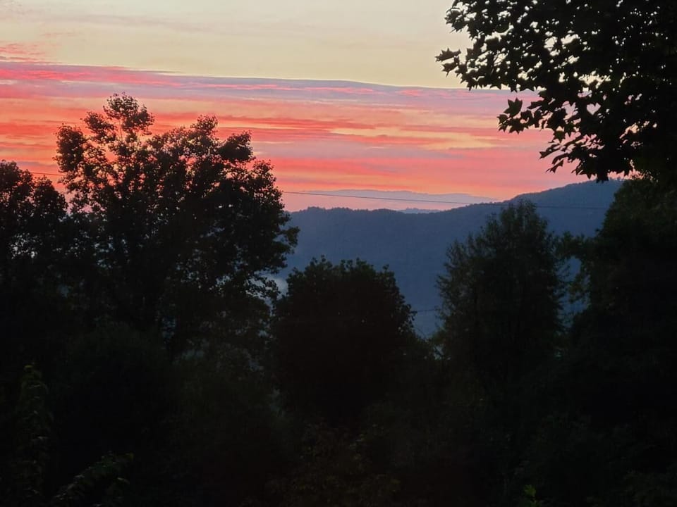 View from the Porch