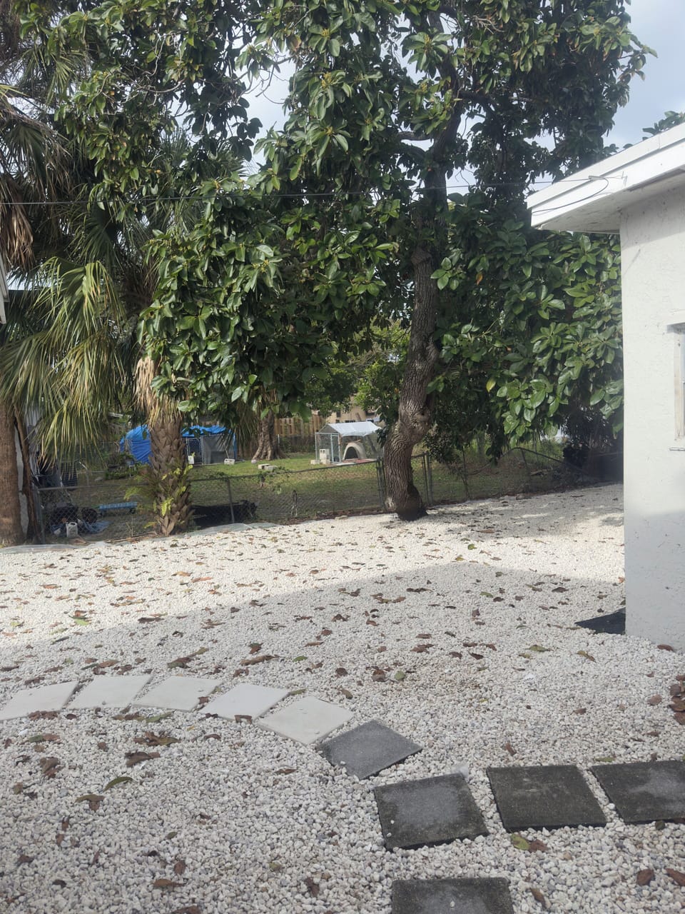 Comfort Apartment, Patio, Garden View | Property grounds