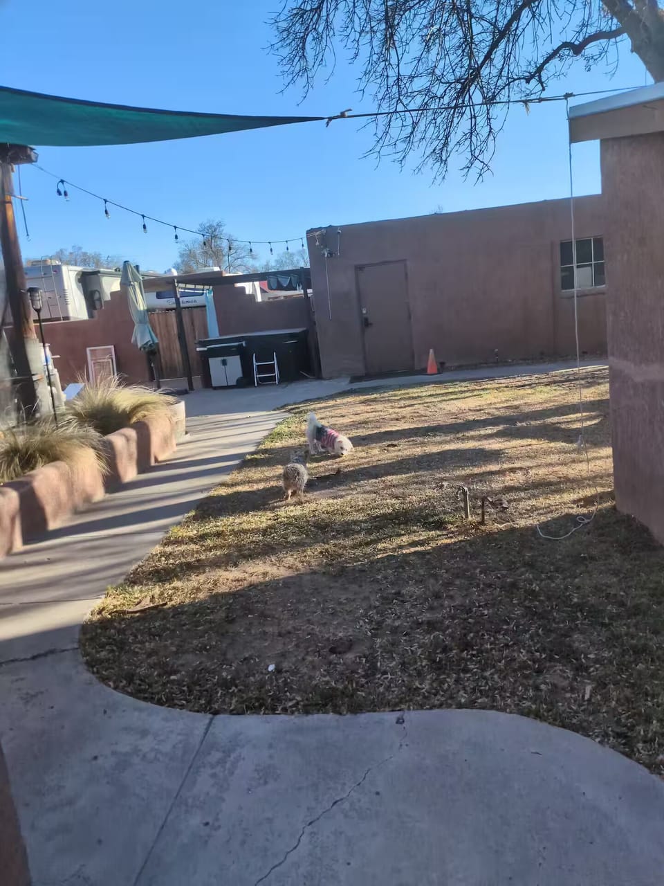 Property grounds