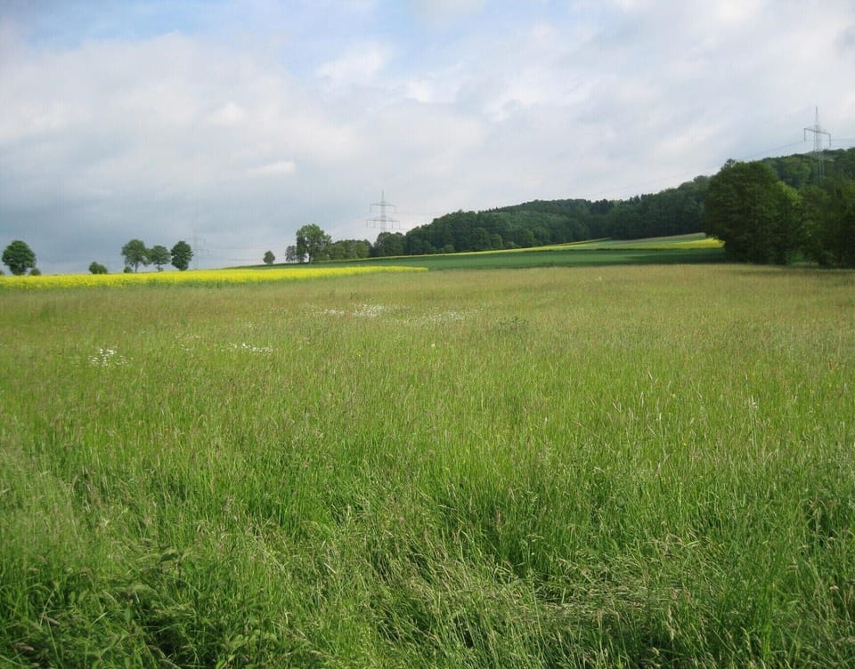 Immediate Surroundings [summer] (<1 km)