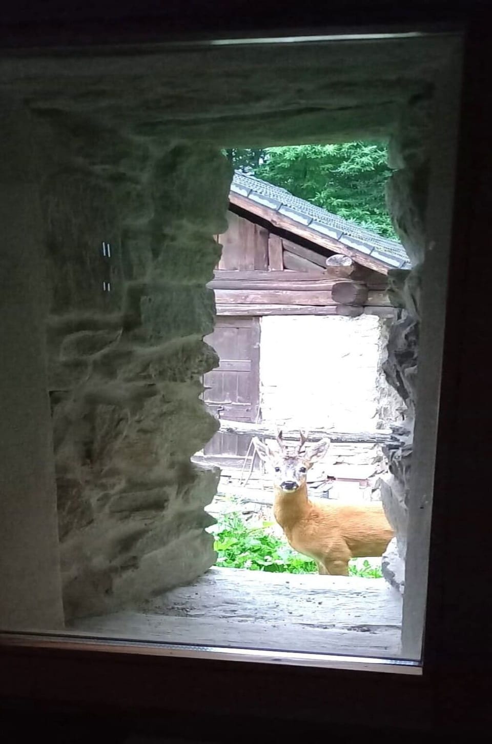 View from property