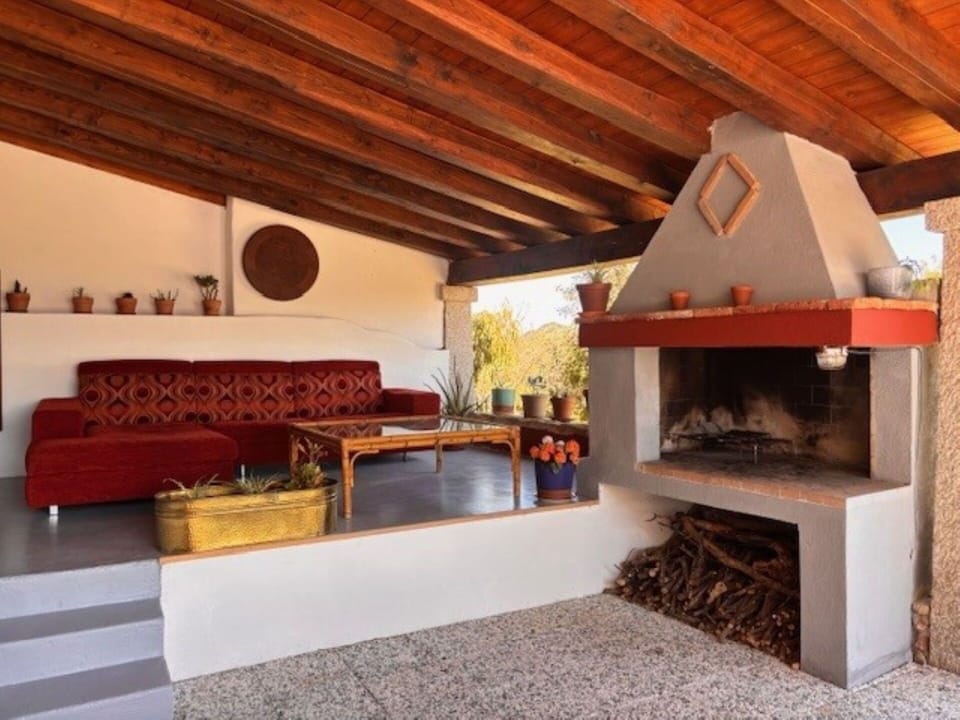Wood, Furniture, Home, Hearth, Wood Stain, Chair, Living Room, Natural Material, Houseplant
