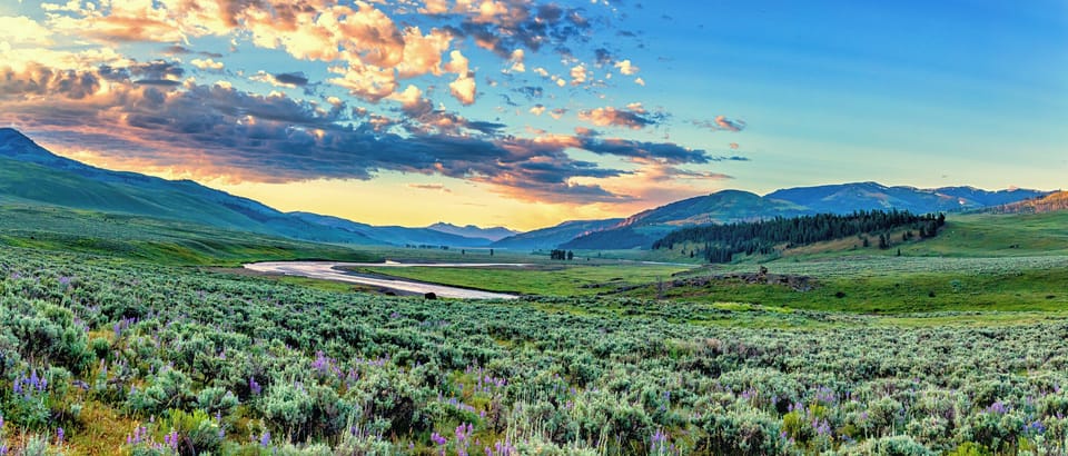 Lamar Valley, Yellowstone