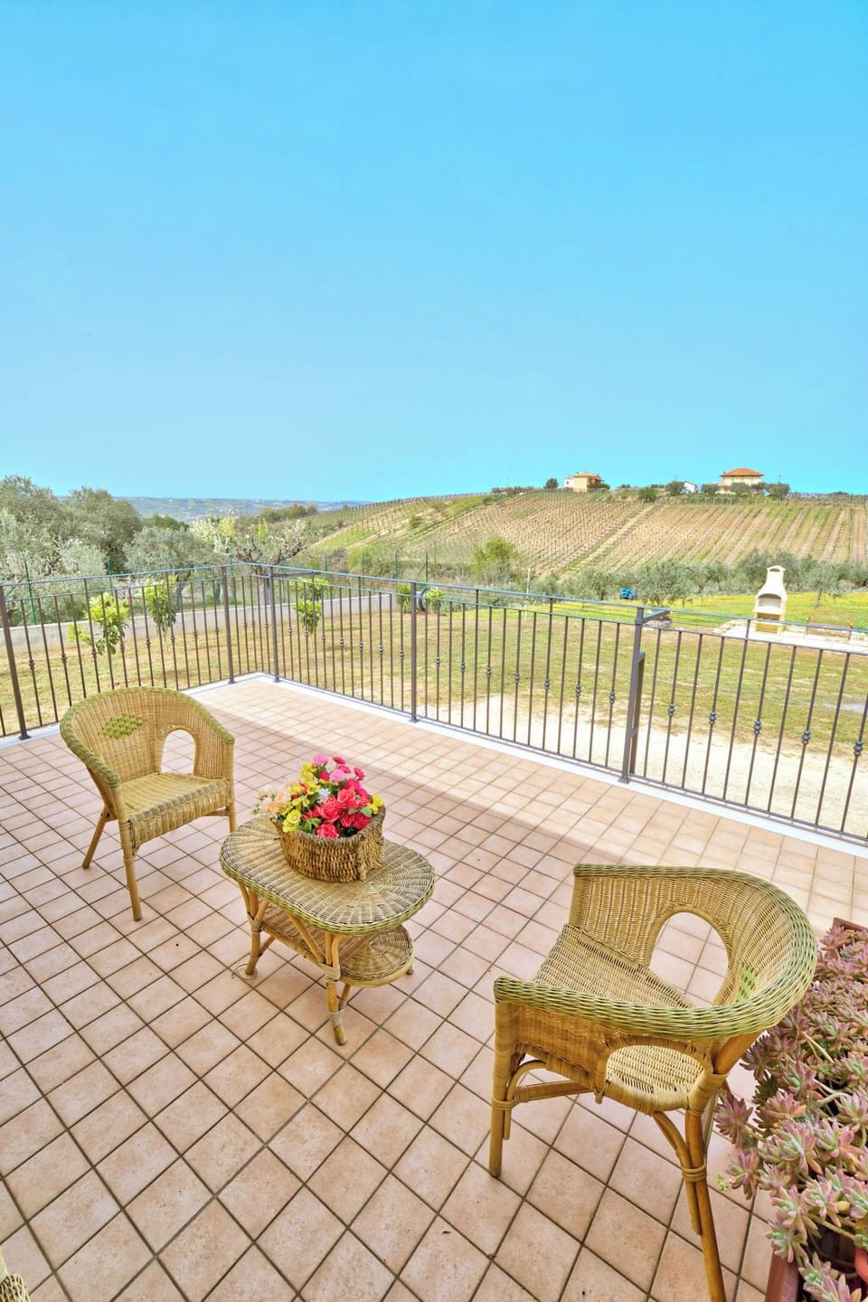 Terrace