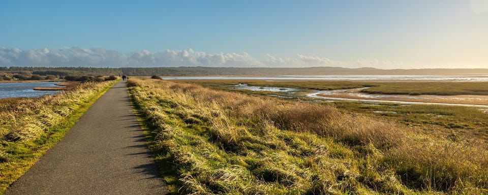 Kite Cottage - The Cob