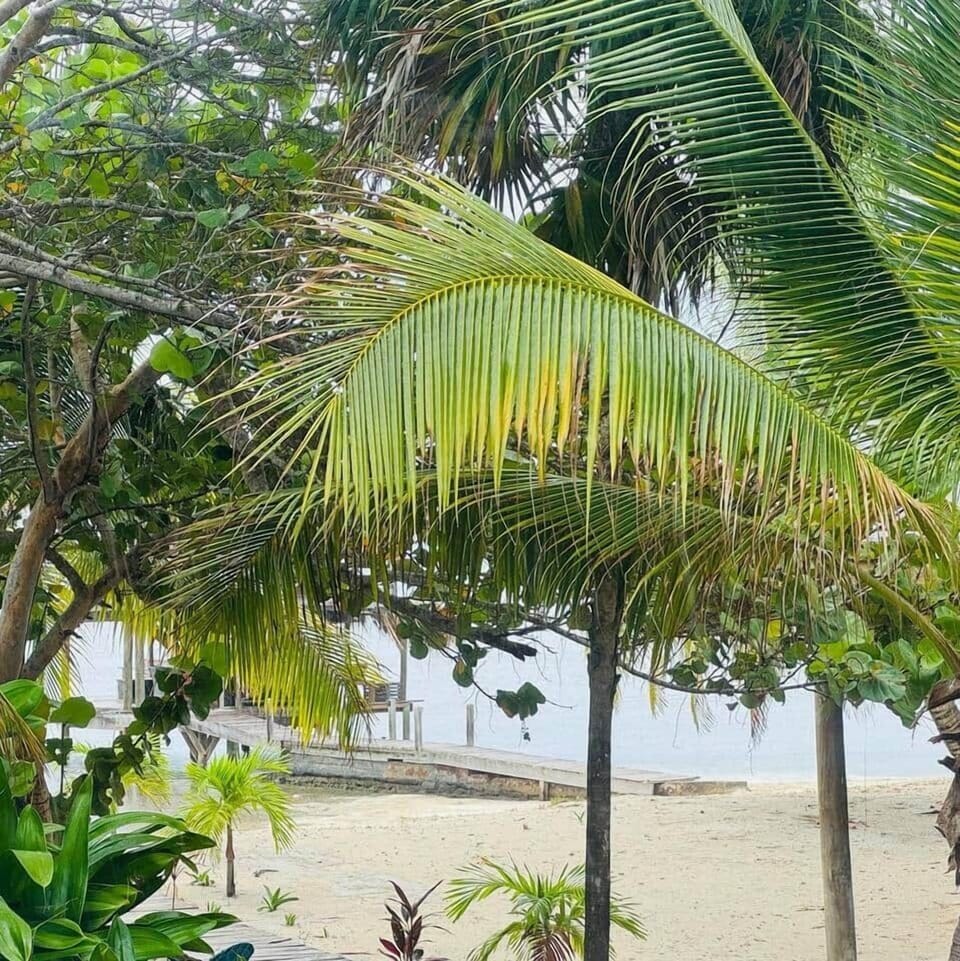 Garden and Beach access. 