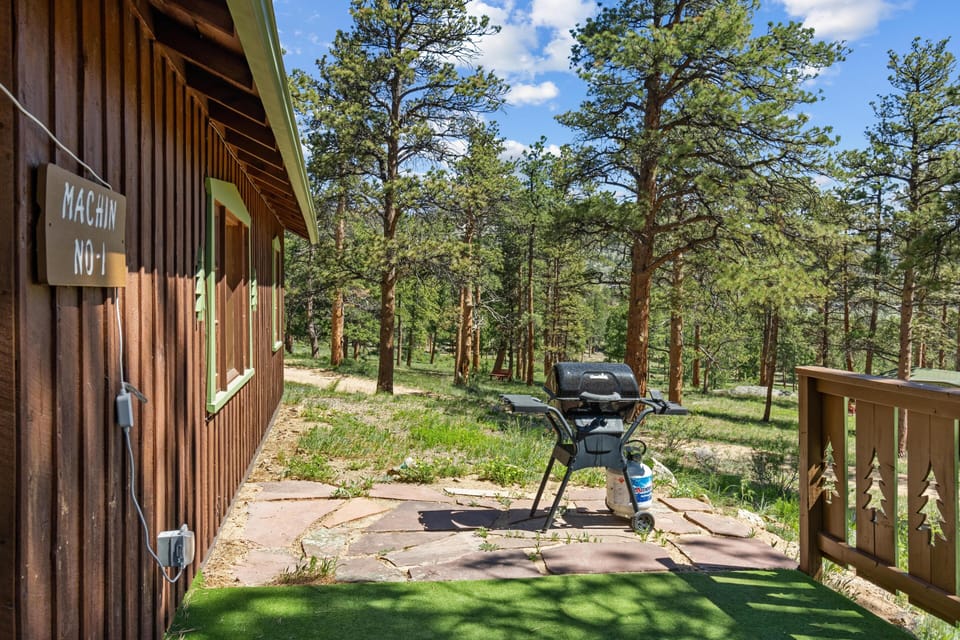 Side view of the cabin with brown vertical siding, green-trimmed windows, a propane grill, and pine trees beyond.