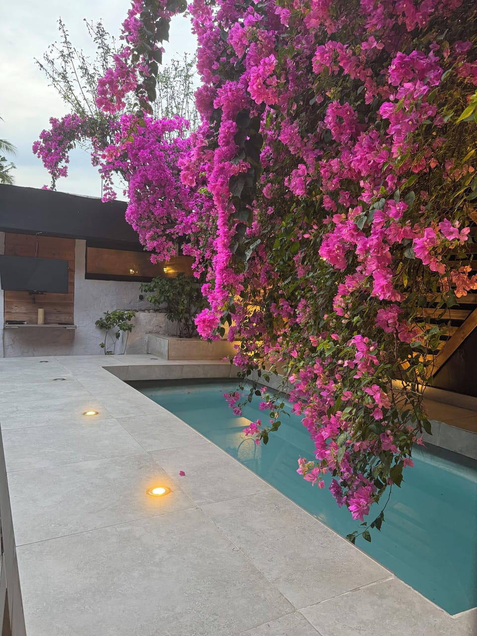 Relax by the private pool beneath blooming bougainvillea.”