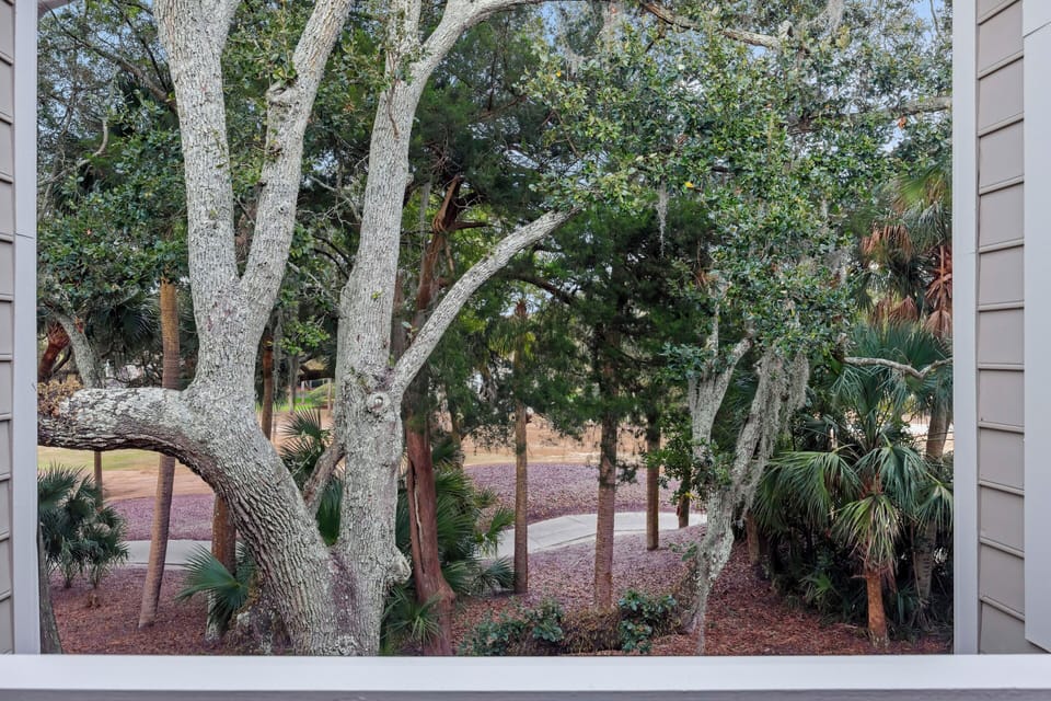 Surrounded by lush scenic nature
