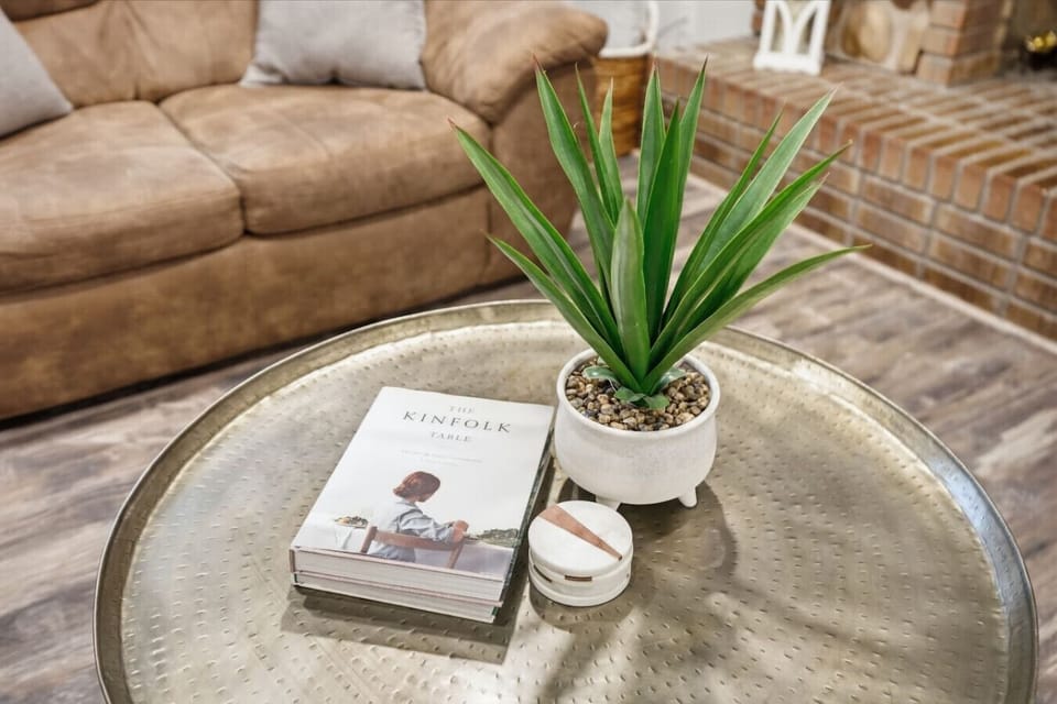 Cozy seating area with decorative coffee table and accent plant