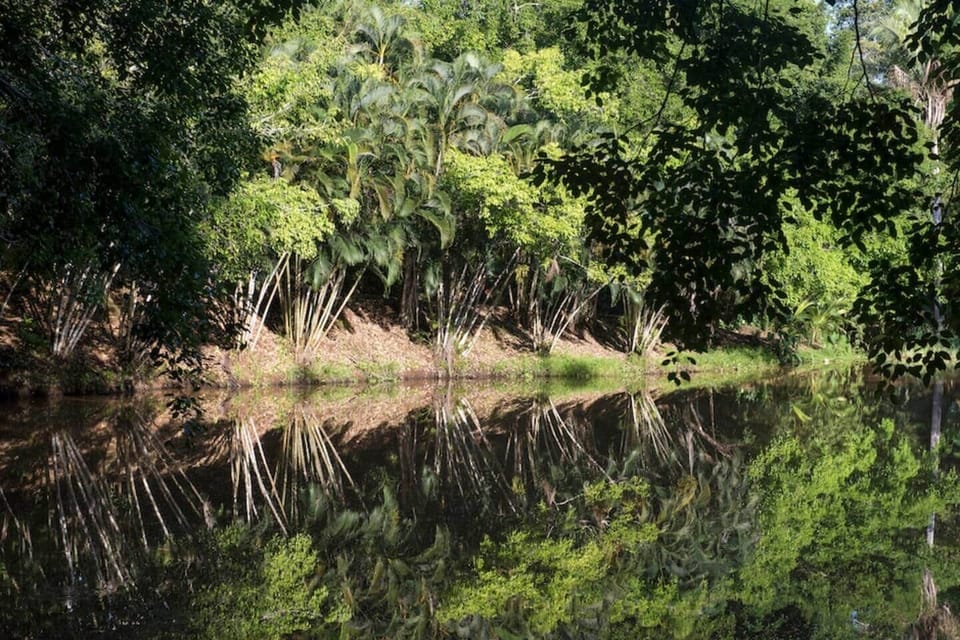 2.5 acre Lake on property