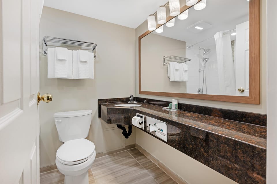 Superior Suite, 1 Queen Bed with Sofa bed, Non Smoking, Jetted Tub (with Sofabed) | Bathroom | Free toiletries, hair dryer, towels, soap