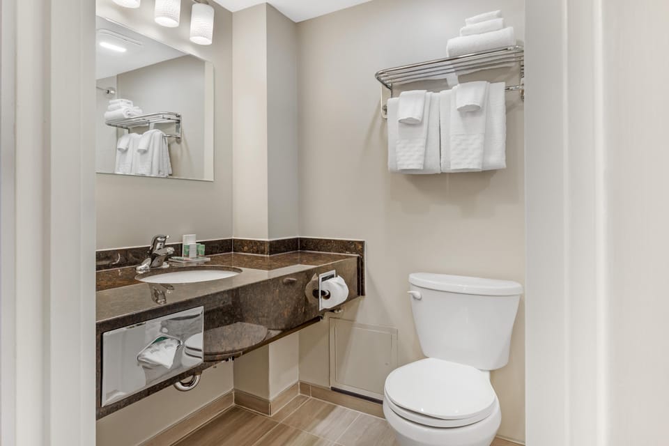 Suite, 1 King Bed with Sofa bed, Non Smoking, Fireplace (with Sofabed) | Bathroom | Free toiletries, hair dryer, towels, soap