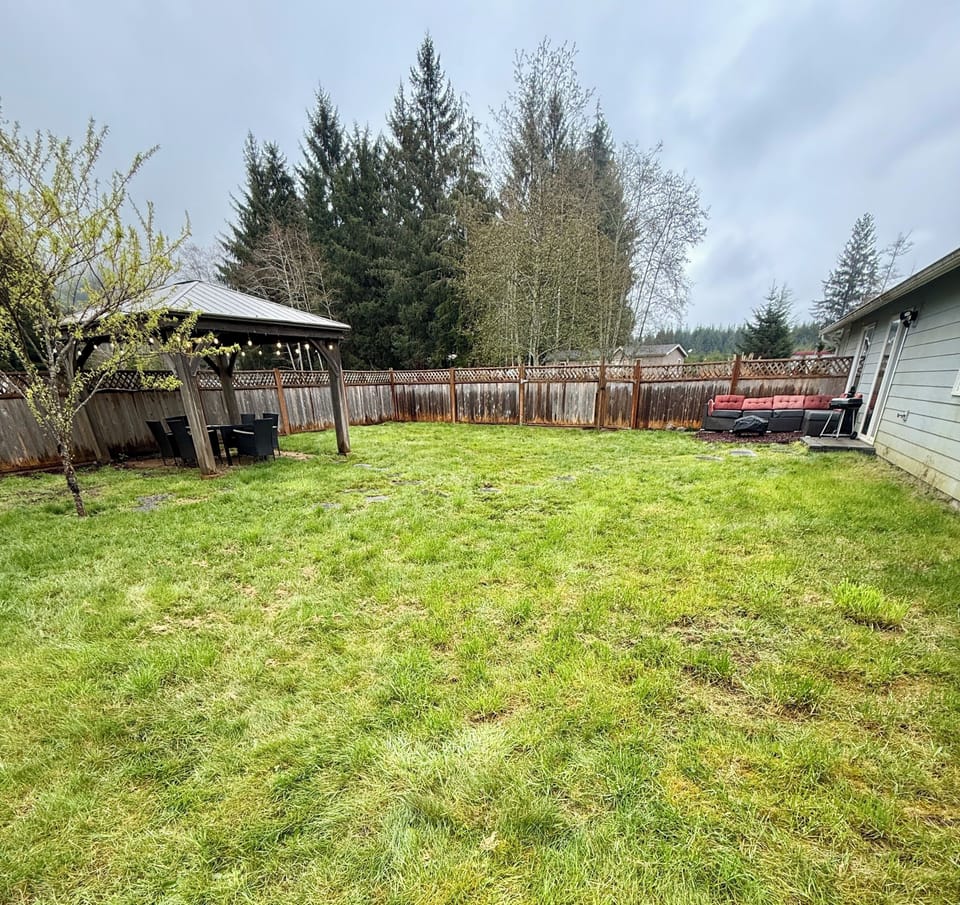 Back yard