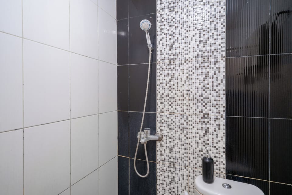 Shower, towels, toilet paper