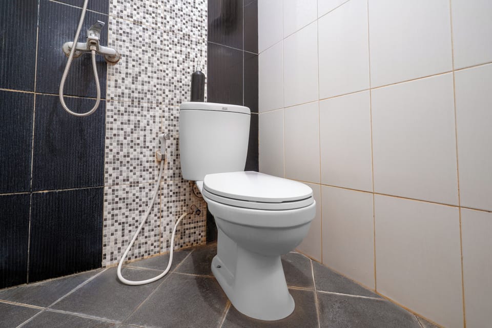 Shower, towels, toilet paper