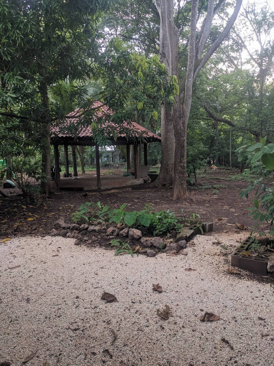 Studio, 1 Bedroom, Smoking, Patio | Garden